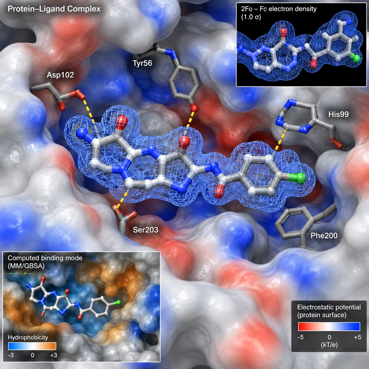 Kvantově-chemické výpočty v biomedicínském výzkumu: principy a využití